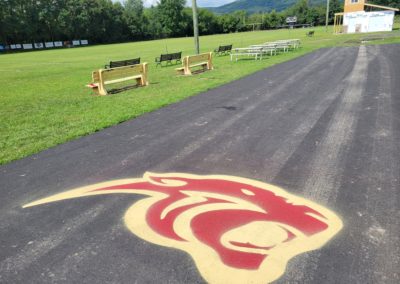 local sports team lot painting panther